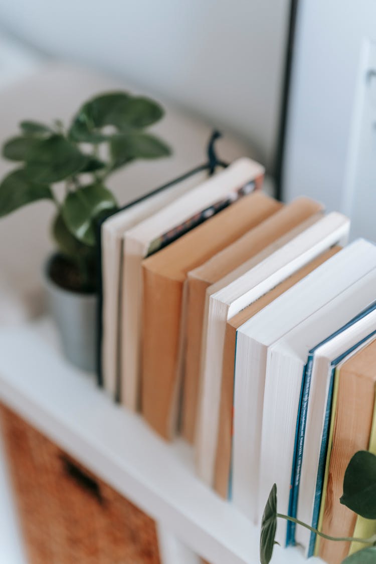 Shelf With Stack Of Books And Plant