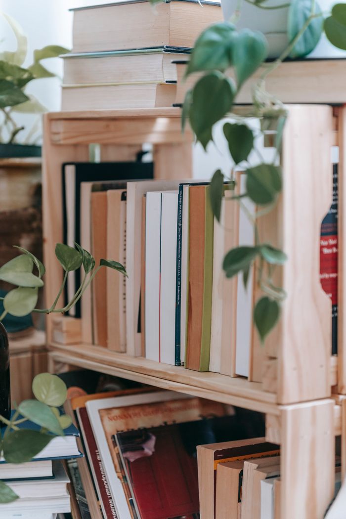 Libreria de madera con libros y plantas colgantes