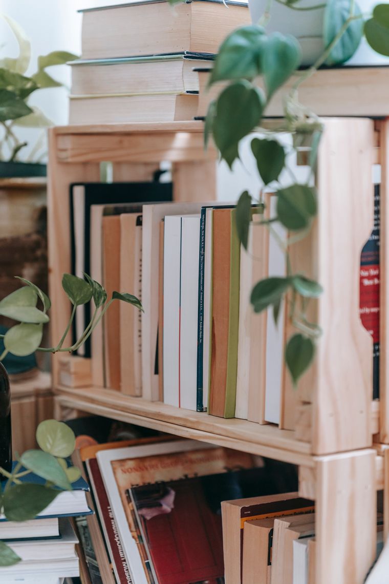 Libreria de madera con libros y plantas colgantes