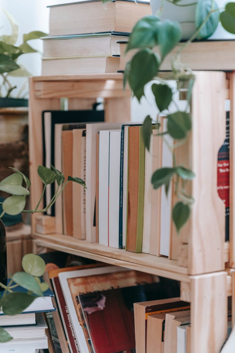 Libreria de madera con libros y plantas colgantes
