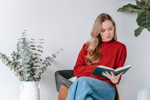 Self assured young lady with long wavy hair in warm clothes sitting on comfy chair and reading textbook during exam preparation in light apartment decorated with potted plants
