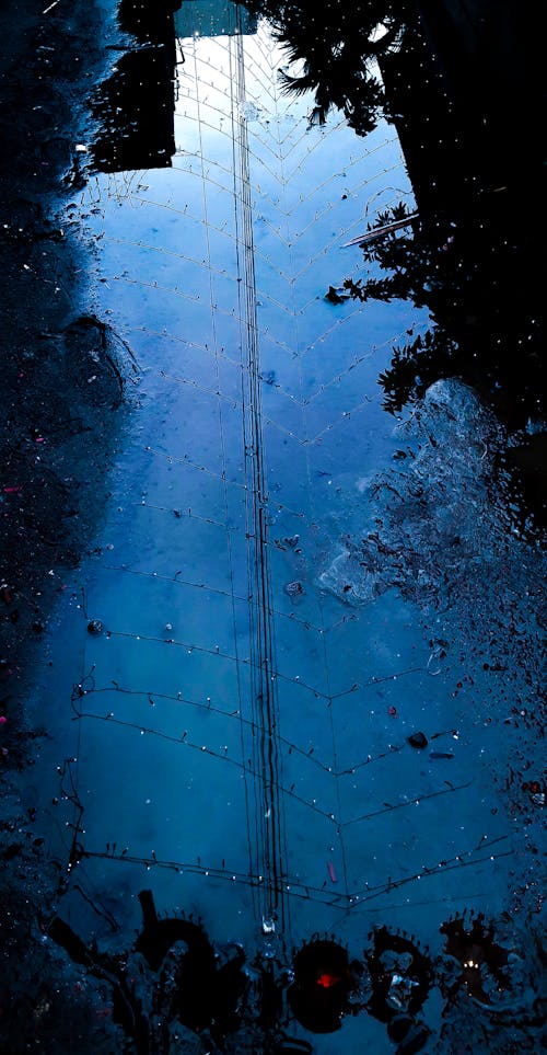 Free stock photo of black mirror, dark blue, water on ground