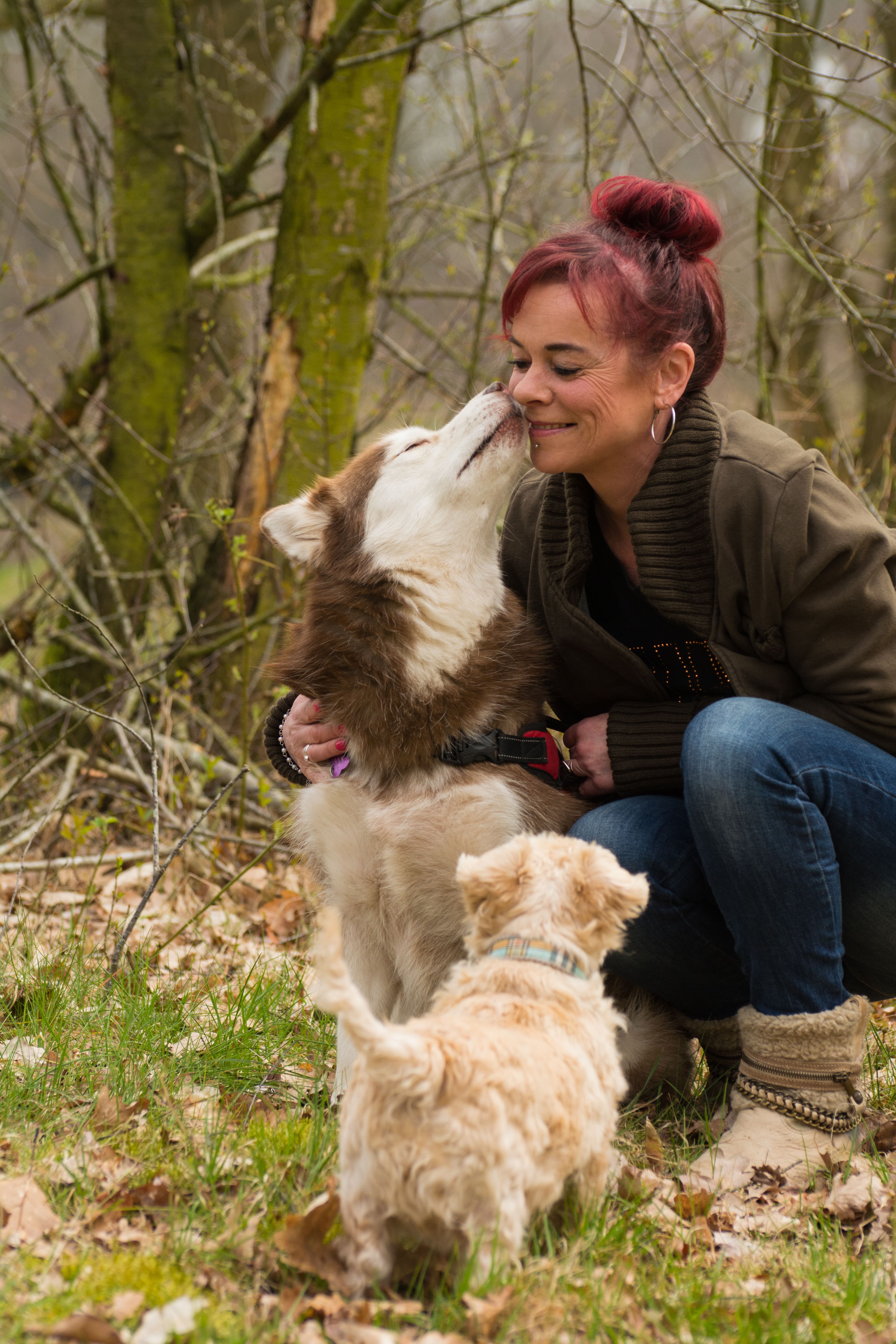 Woman playing with two dogs, a Siberian Husky and a small terrier, in a forest setting.