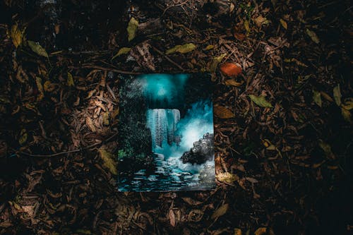 Top view creative picture of waterfall falling from mountain near rocky river placed on ground with dried faded leaves in forest