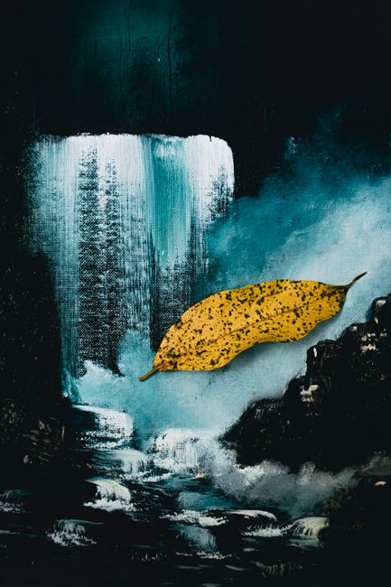 Top view of faded leaf with spots on artwork of mount with cascade against wavy river
