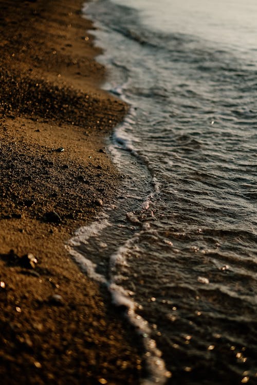 Free Brown Sand Near Body of Water Stock Photo