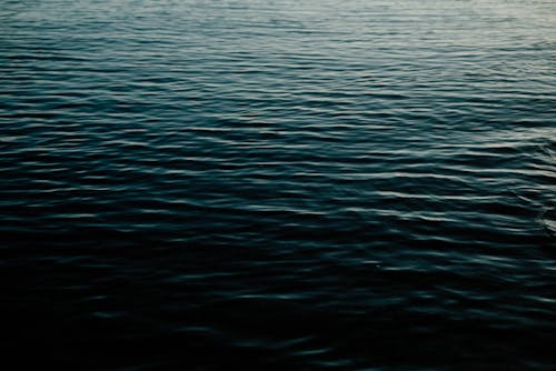 ビーチ, 日の出, 水の無料の写真素材