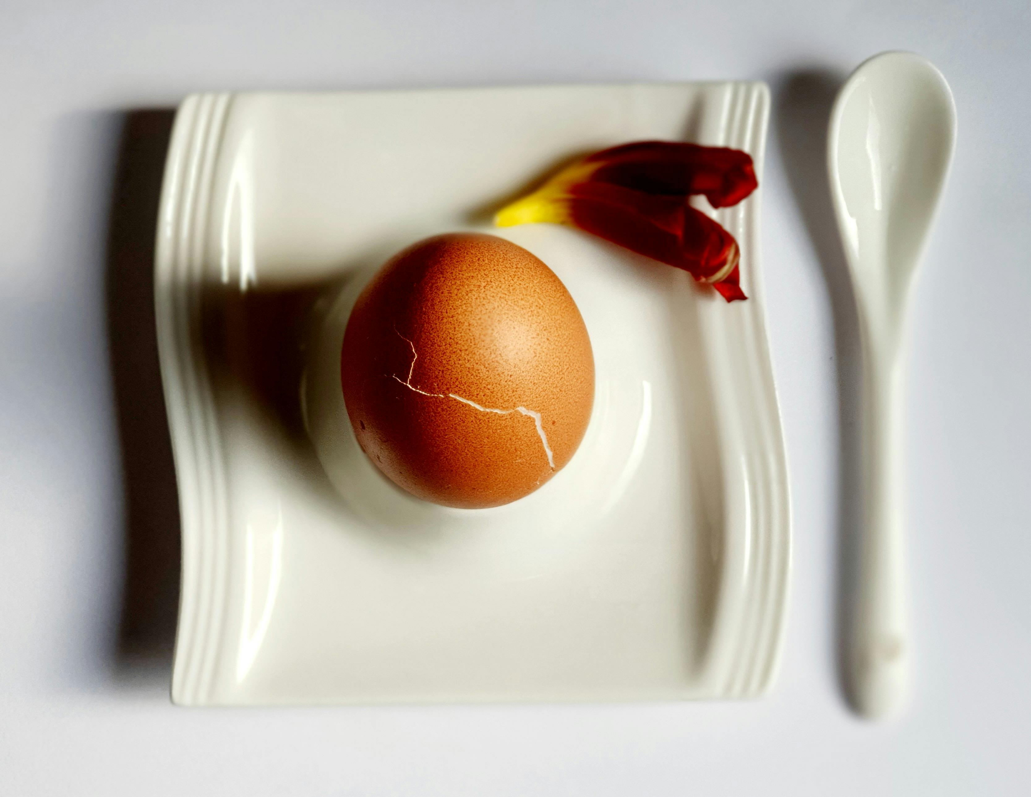 Cracking the bad eggs - Law.asia — Photo by Sveta Moisseyeva on Pexels