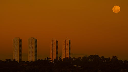 High Rise Blocks of Flats Against Orange Evening Sky