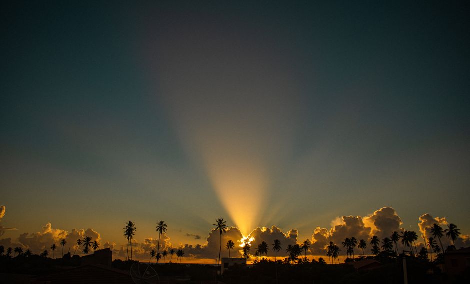 Dramatic sunset with palm tree silhouettes and moody sky in São Miguel dos Milagres, Brazil.