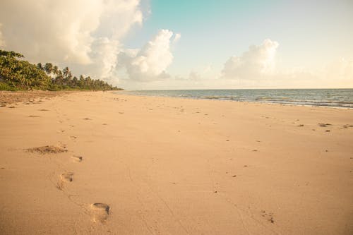 Beach on Sea Shore