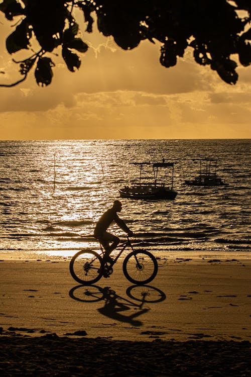 Silhouette of Man Riding Bicycle on the Shore of a Beach