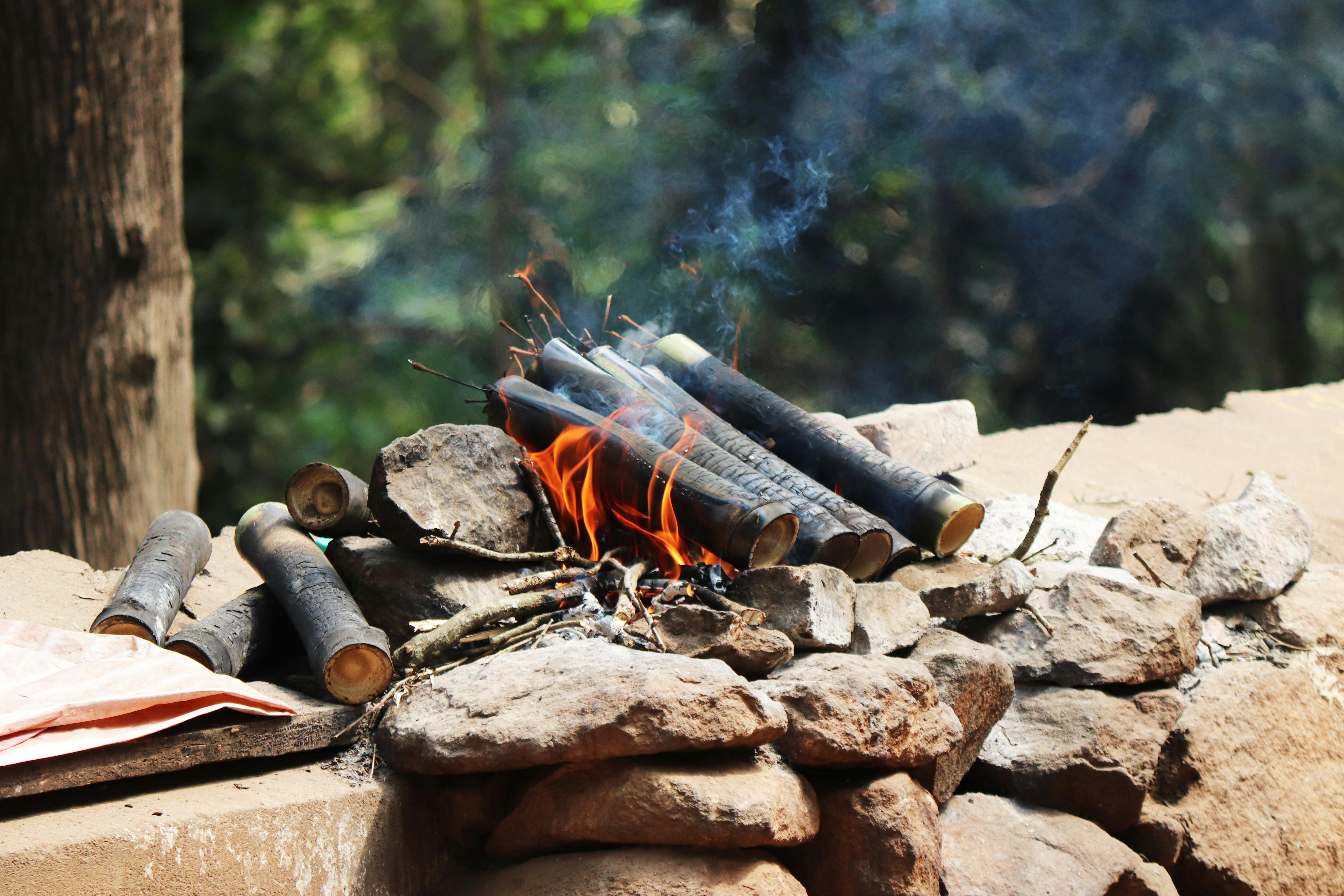 Burning Firewood on Rock · Free Stock Photo