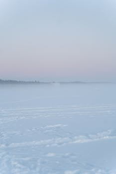 A tranquil snow-covered field with fog under a pastel sky at dawn.