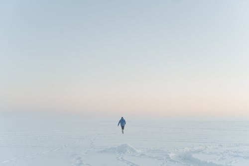 Foto profissional grátis de ao ar livre, aventura, clima