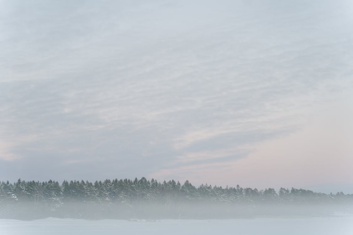 Kostnadsfri bild av dimma, kall, landskap
