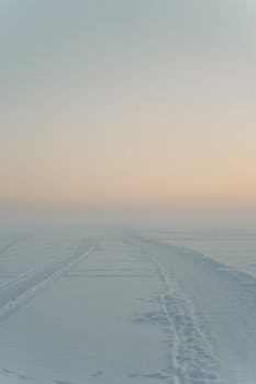 Serene winter landscape with a snow-covered path under a misty sunrise.