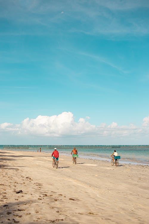 People Roding Bikes on the Beach