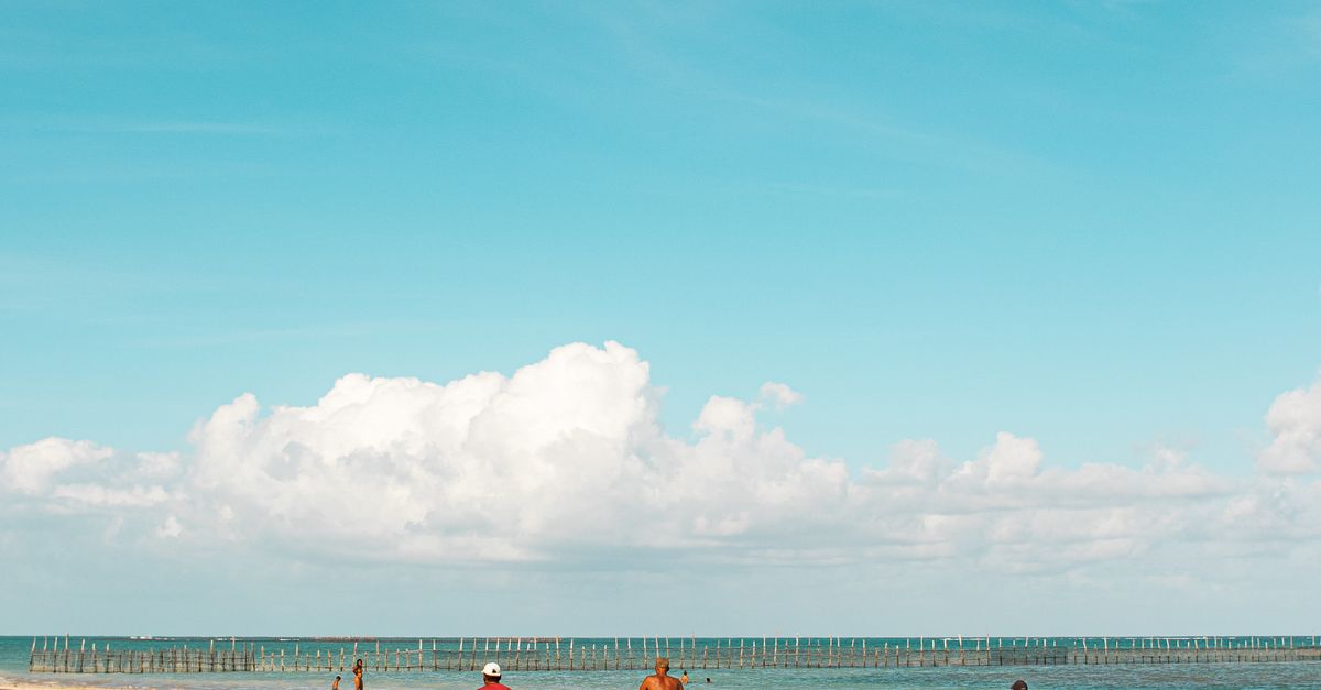 Beach Rode Side Profile People Roding Bikes on the Beach · Free Stock Photo