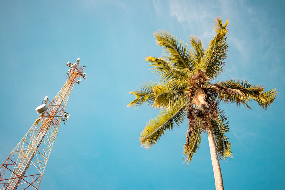 Low angle view of an antenna tower and a coconut tree under a blue sky in Brazil.