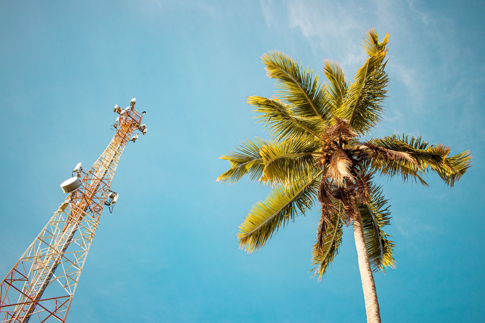 Low angle view of an antenna tower and a coconut tree under a blue sky in Brazil.