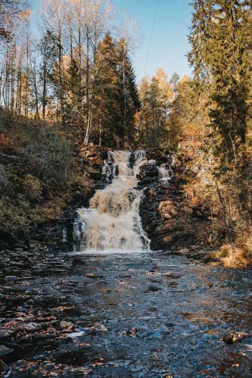 Immagine gratuita di alberi, cascate, fiume