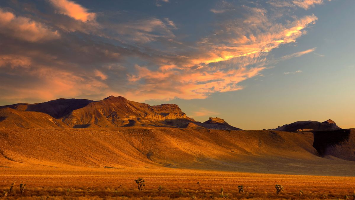 Top Henderson, NV Free Samples With No Purchase Necessary: Safe Entry Guide