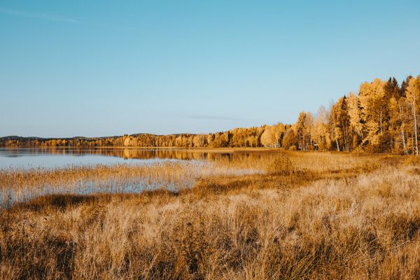 Карелия