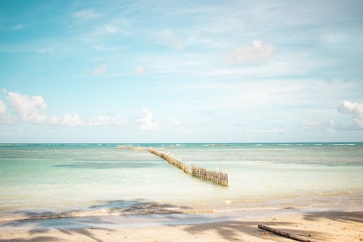 Serene beach and ocean view with a unique wooden fence extending into the sea.