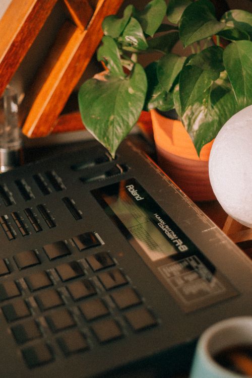 Free Vertical shot of a drum machine beside a potted green plant, showcasing modern electronic equipment. Stock Photo