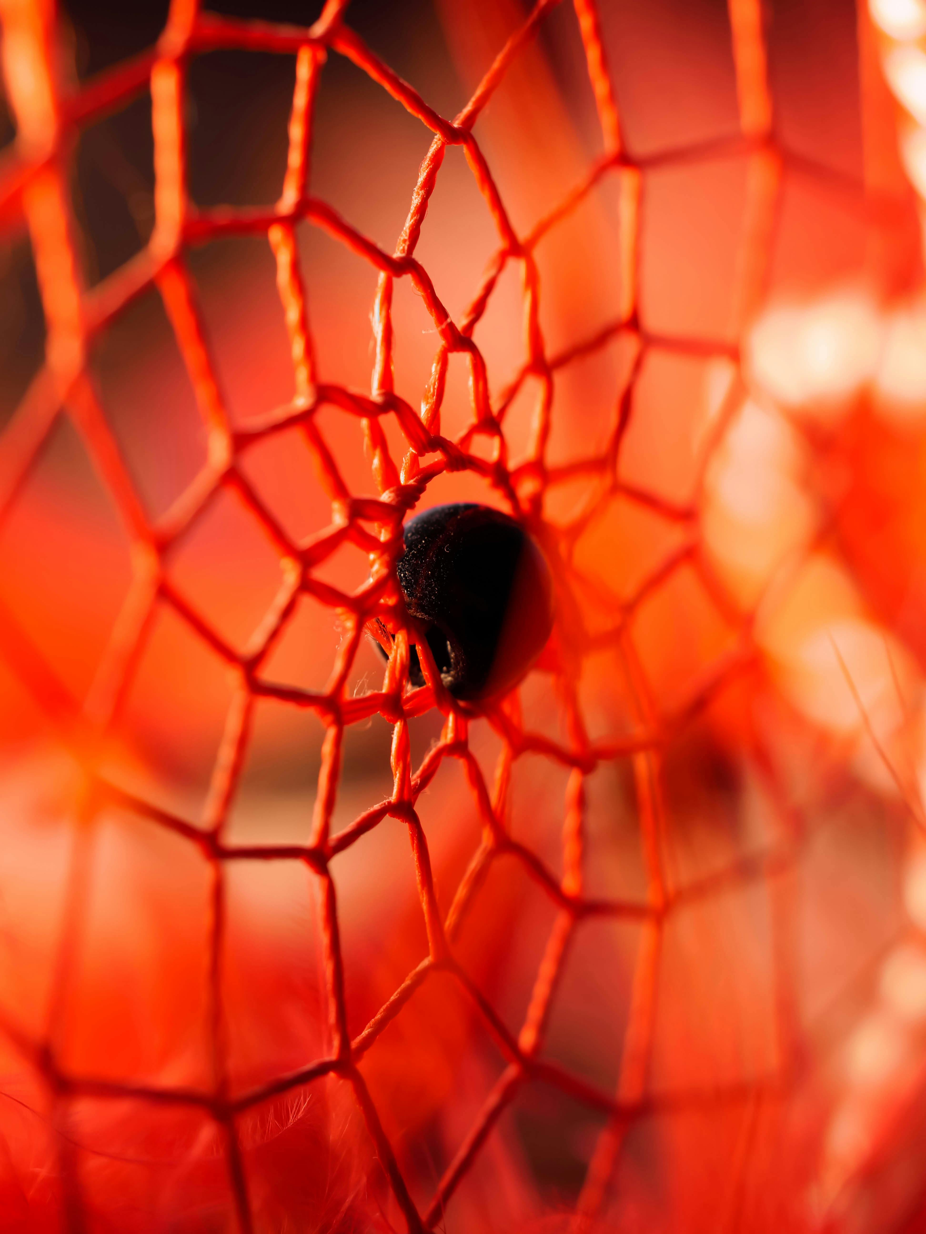 3,269+ Best Free Dream catcher Stock Photos & Images · 100% Royalty