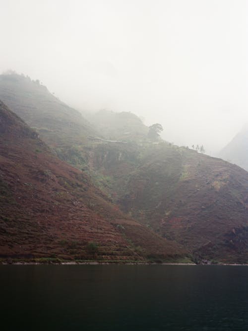 Kostenloses Stock Foto zu abhang, bäume, berge