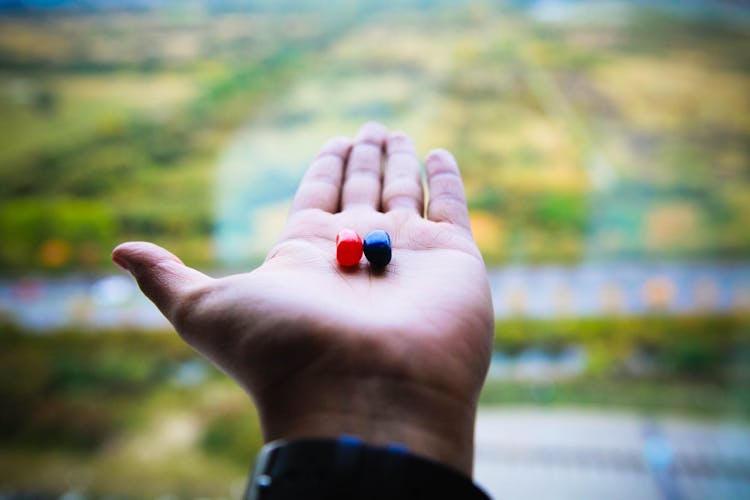 Red And Blue Jelly Beans On Person's Left Palm