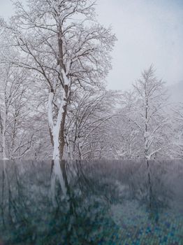 Tranquil winter scene with snow-laden trees and a calm reflective pool in a snowy landscape.