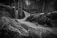 森林中黑白瀑布与岩石的场景，展现自然的流动与宁静氛围