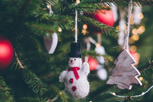 無料 お祝い, クリスマス, クリスマスツリーの無料の写真素材 写真素材