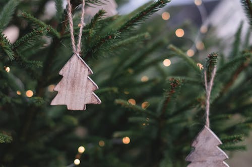Fotos de stock gratuitas de árbol, árbol de Navidad, celebración