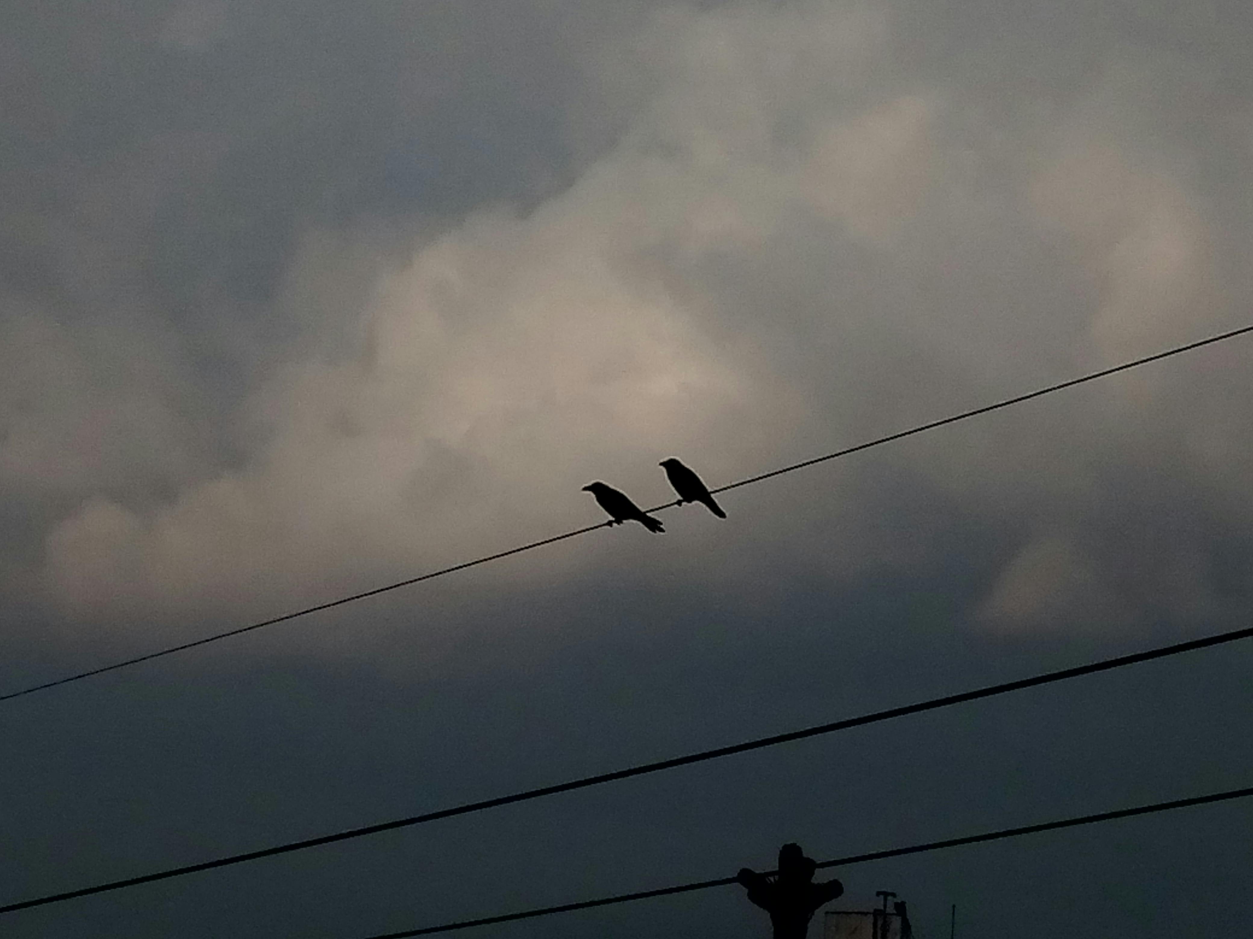 Power transmission lines