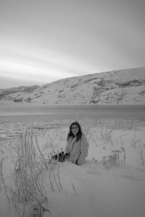 Immagine gratuita di bianco e nero, congelando, coperto di neve