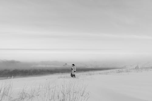 Бесплатное стоковое фото с зима, монохромный, на открытом воздухе