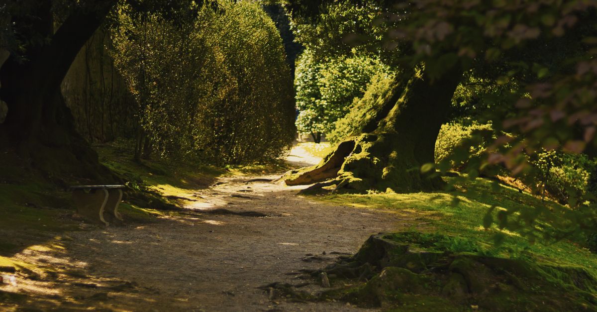 Les itinéraires insolites à travers les parcs naturels cachés