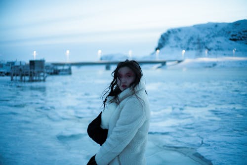 Δωρεάν στοκ φωτογραφιών με γούνινο παλτό, γυναίκα, κρύο