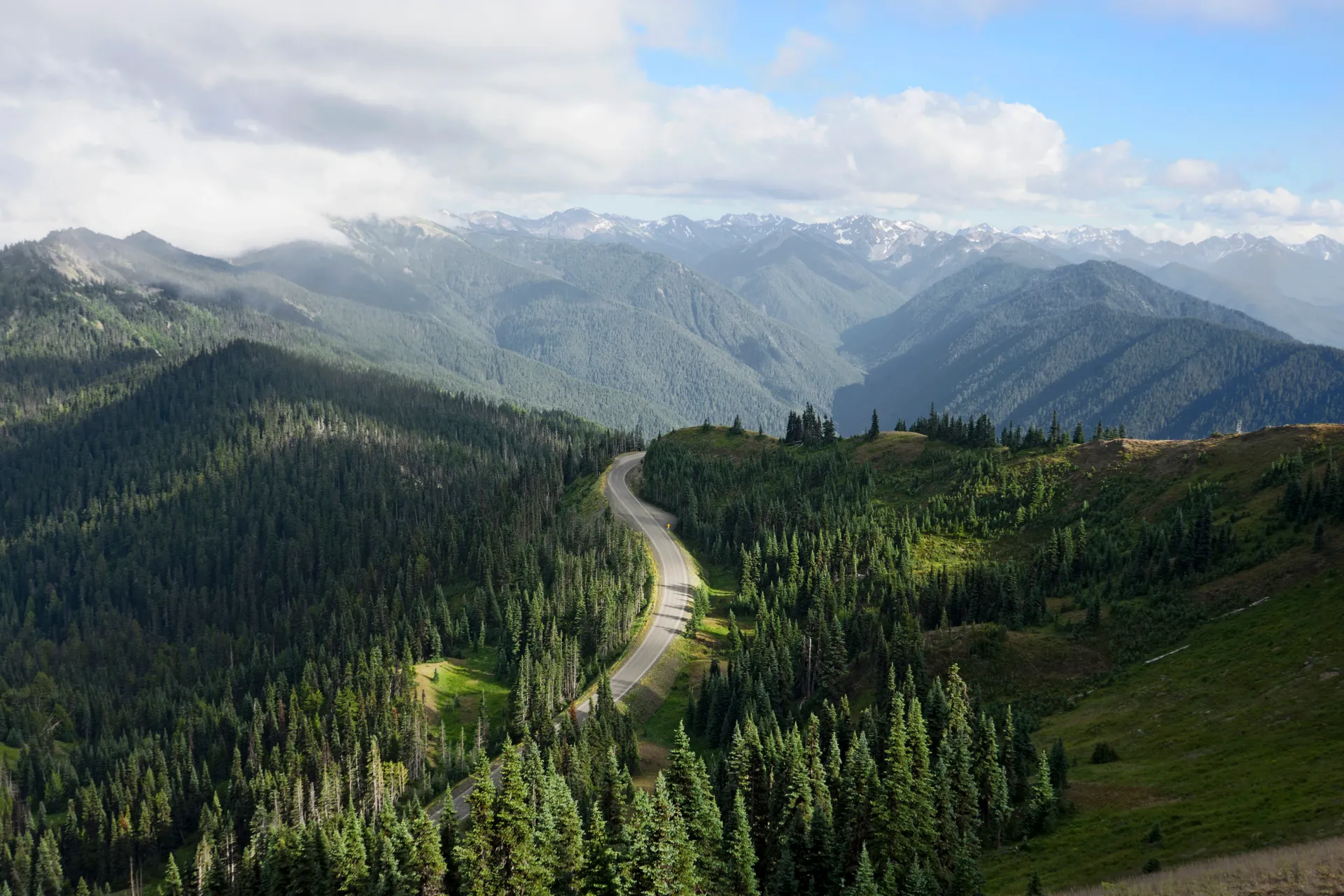 Aerial panorama of lush green landscapes in Olympic National Park, Washington.