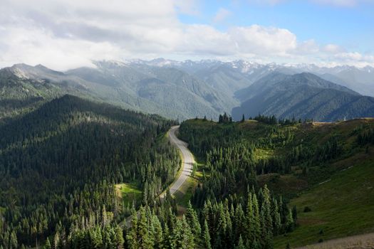 Hurricane Ridge near Olympic NP