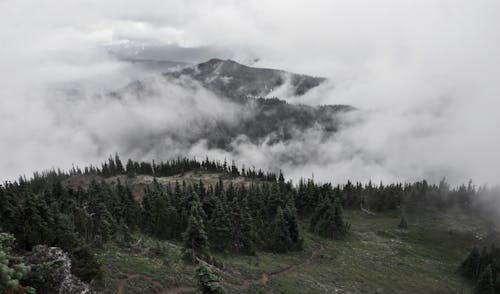 Δωρεάν στοκ φωτογραφιών με βουνά, δέντρα, ομίχλη Φωτογραφία από στοκ φωτογραφιών