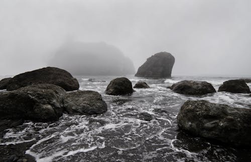 Fotos de stock gratuitas de blanco y negro, cuerpo de agua, escala de grises