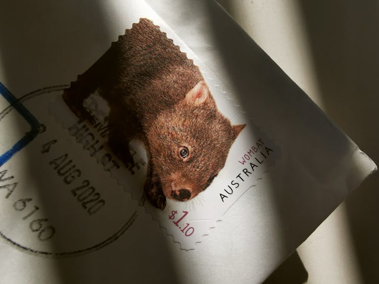 Envelope Stamp With Wombat 