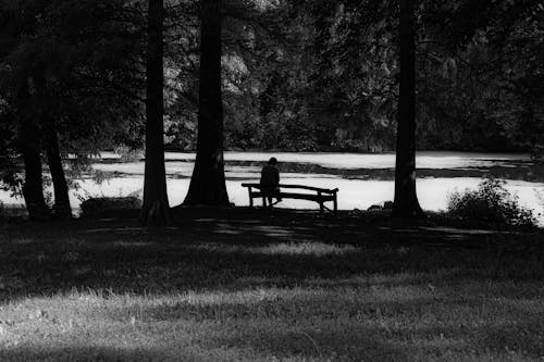 Free Grayscale Photo of a Man Sitting on a Bench Stock Photo