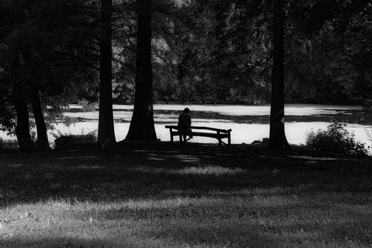 A man sitting on a bench enjoys a quiet moment by the water in a monochrome park setting.