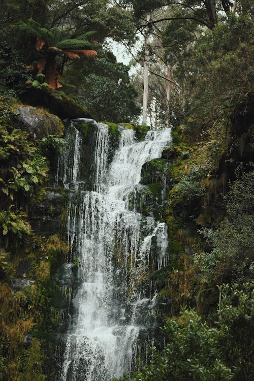 Waterfall Cascading Down the Rocky Cliff 